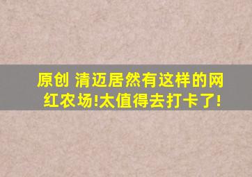 原创 清迈居然有这样的网红农场!太值得去打卡了!